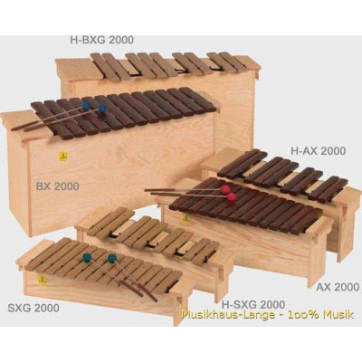 BX 2000 Xylophon Bass Diatonisch BX 2000 Xylophon Bass Diatonisch