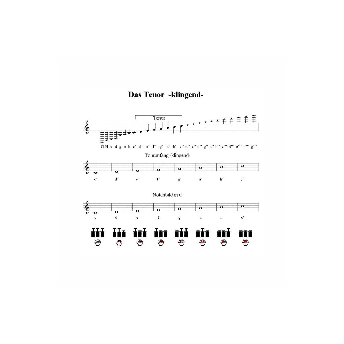 Voigt 1394a Tenor aufrecht 8-tönig Voigt 1394a Tenor aufrecht 8-tönig