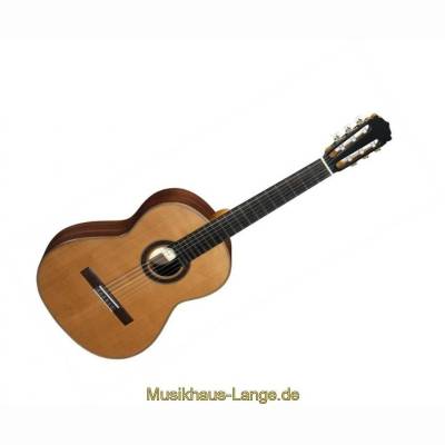 54 PC Palisander/Zeder Konzertgitarre