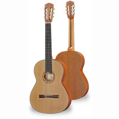 50 MC Gitarre Zederndecke