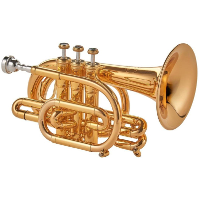 Trompete Pocket Trompete Lack ohne Etui Trompete Pocket Trompete Lack ohne Etui