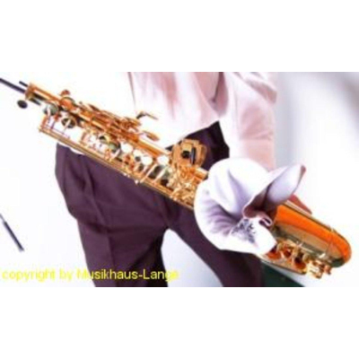 A30 Wischer Altsaxophon (Body Swab) A30 Wischer Altsaxophon (Body Swab)