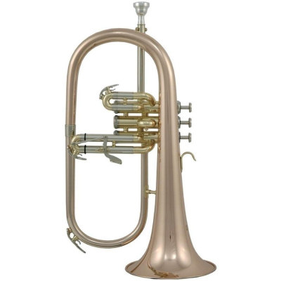 Flügelhorn FH-302G Lack mit Etui Flügelhorn FH-302G Lack mit Etui