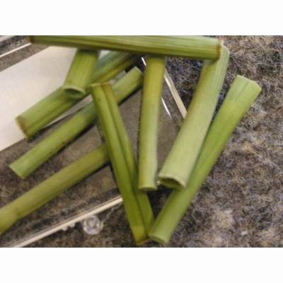 9er Packung 9er Packung