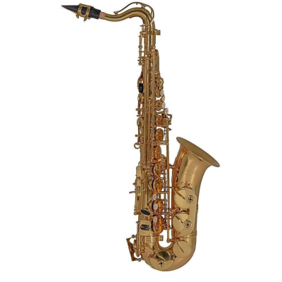 Altsaxophon AS201 GL Kinder Saxophon Altsaxophon AS201 GL Kinder Saxophon