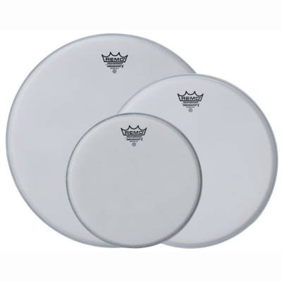 Ambassador X 12 Ambassador X 12