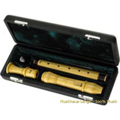 *Z9549 Etuikast. Rottenburgh Tenor