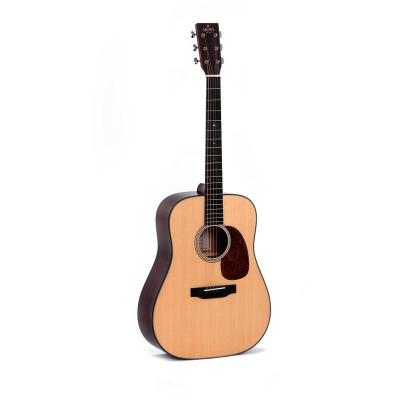 DM-18 Westerngitarre mit SSC (Case) DM-18 Westerngitarre mit SSC (Case)