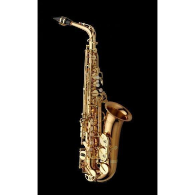 A-W02 Altsaxophon Professional m.Etui A-W02 Altsaxophon Professional m.Etui