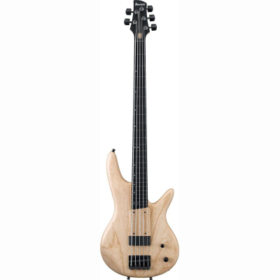 GWB1005-NTF Gary Willis Signature GWB1005-NTF Gary Willis Signature