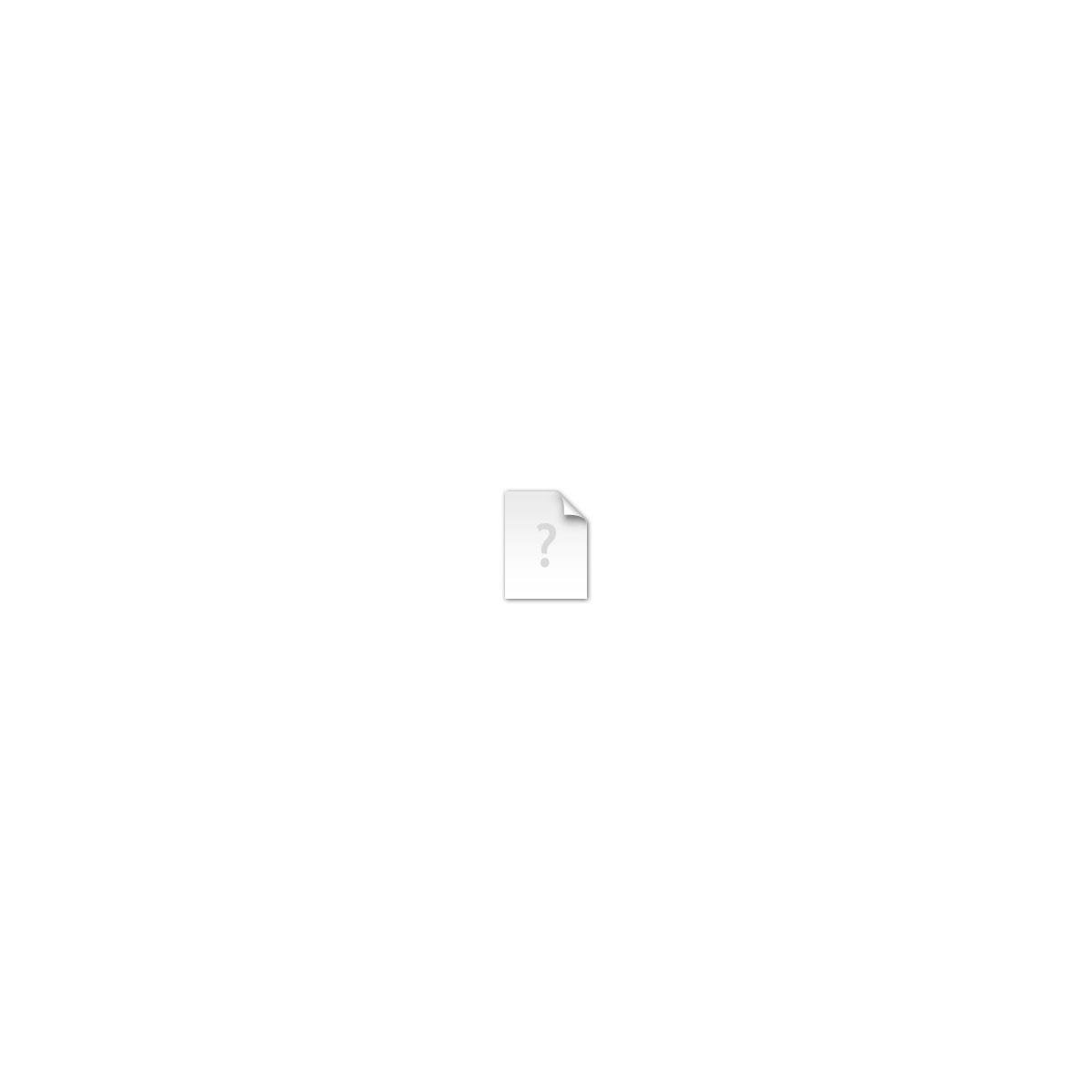 TB503BD Posaune Quart Lack mit Etui TB503BD Posaune Quart Lack mit Etui