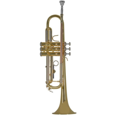 TR650D Trompete Lack mit Etui TR650D Trompete Lack mit Etui