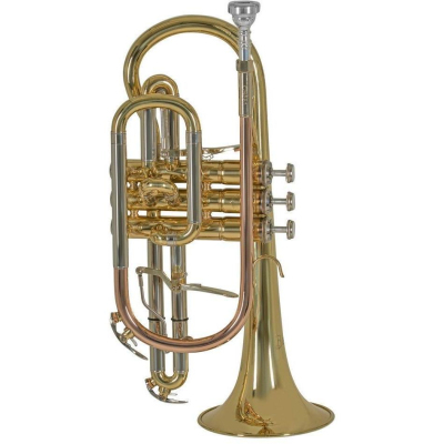 CR651D Kornett Lack mit Etui