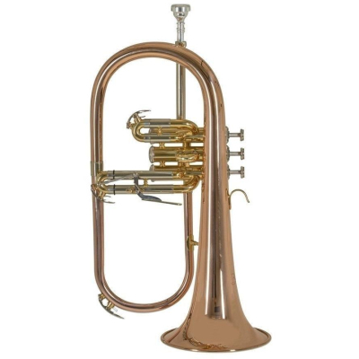 FH501D Flügelhorn Lack mit Etui FH501D Flügelhorn Lack mit Etui
