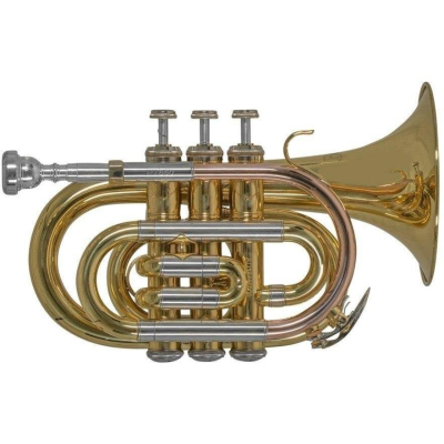 PT-650D Taschentrompete Lack mit Etui PT-650D Taschentrompete Lack mit Etui