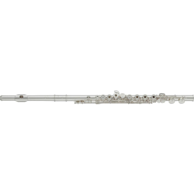 YFL-372GL Querflöte W/Case YFL-372GL Querflöte W/Case
