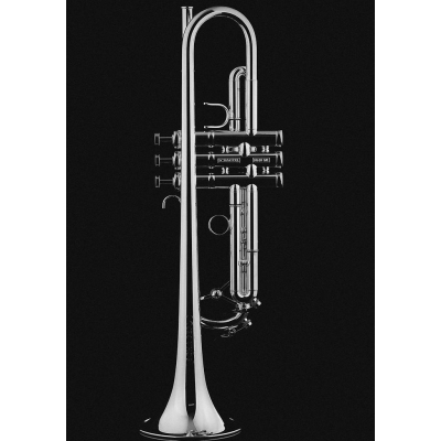 Trompete Roman Empire ML Silber Trompete Roman Empire ML Silber