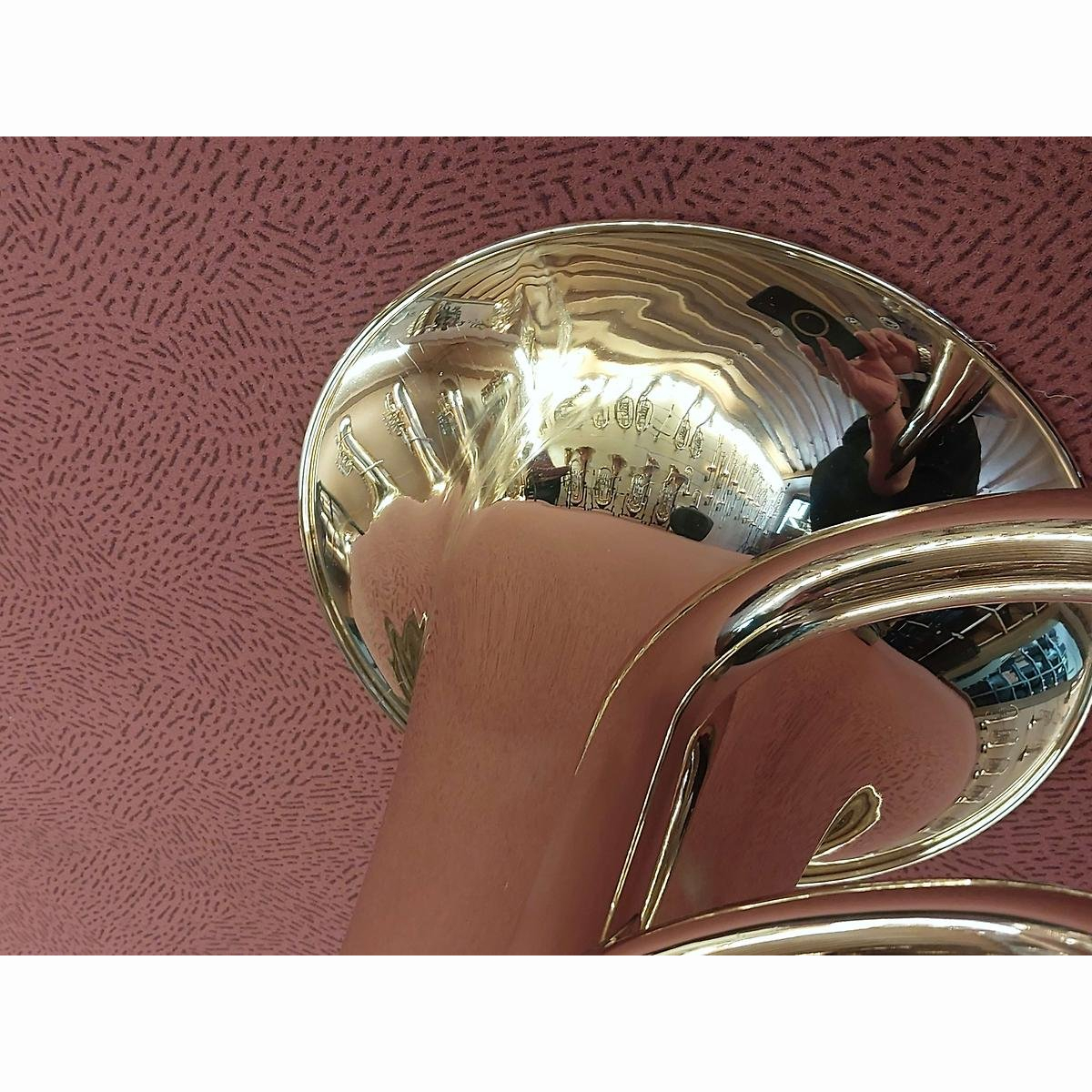 EP501 Euphonium (3+1) Komp Lack B-Ware