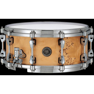 PMM146 Starphonic Maple 14 PMM146 Starphonic Maple 14