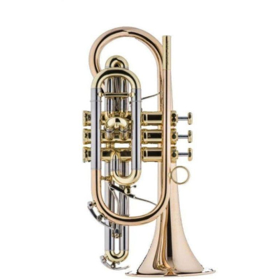 Kornett Signature Gansch Lack Etui