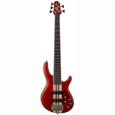 A5 Plus FMMH E-Bass Open Pore Cherry A5 Plus FMMH E-Bass Open Pore Cherry