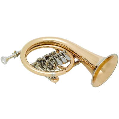 18930 fürst-Pless in B (Drehventile) 18930 fürst-Pless in B (Drehventile)