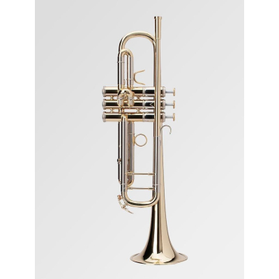 Trompete A2 Klarlack inkl. Gigbag Trompete A2 Klarlack inkl. Gigbag