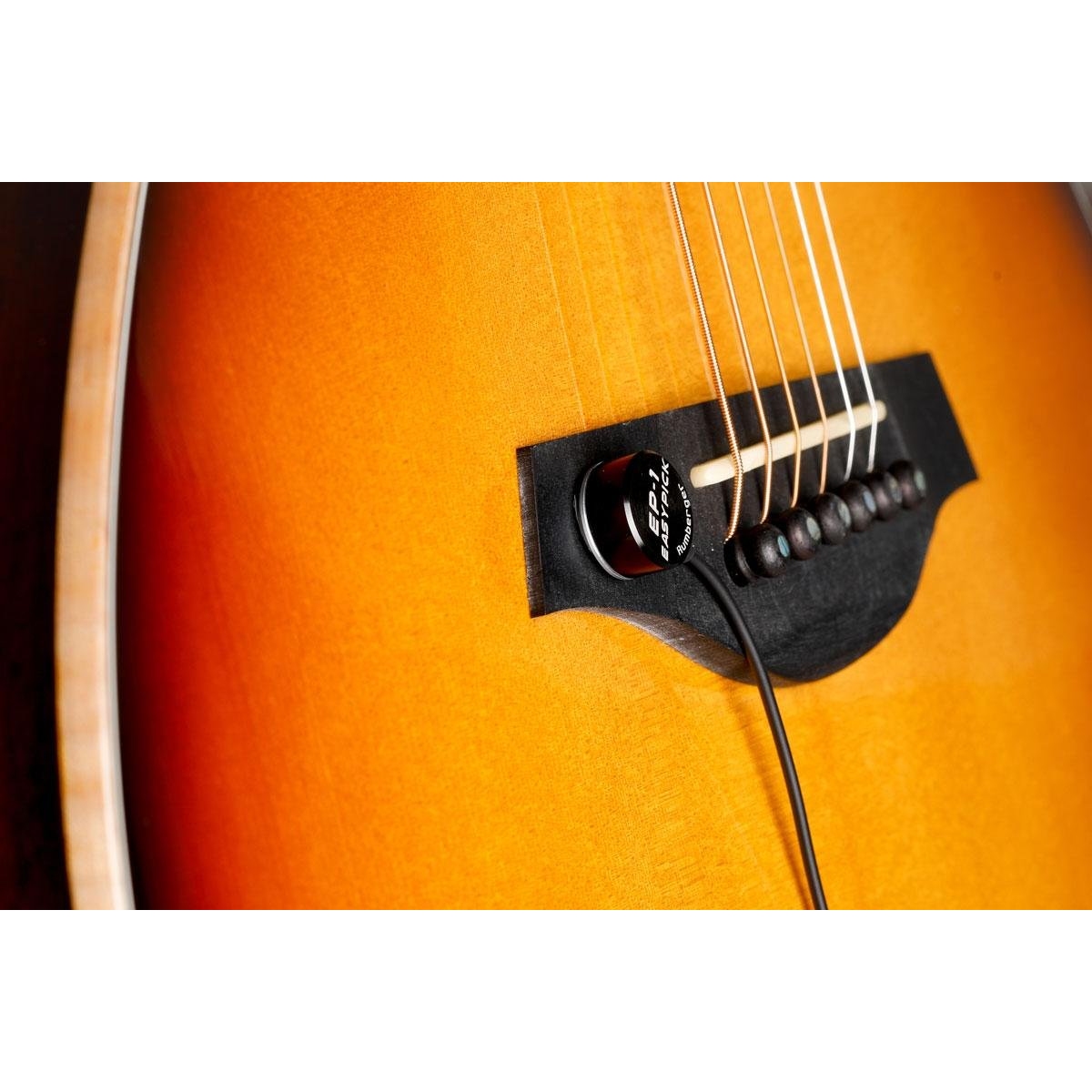 Easypick EP-1B Pickup Easypick EP-1B Pickup
