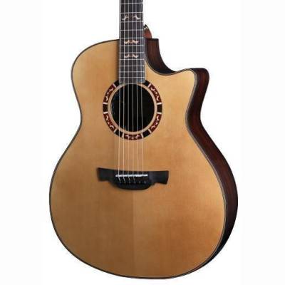STG G20CE Pro Western Gitarre