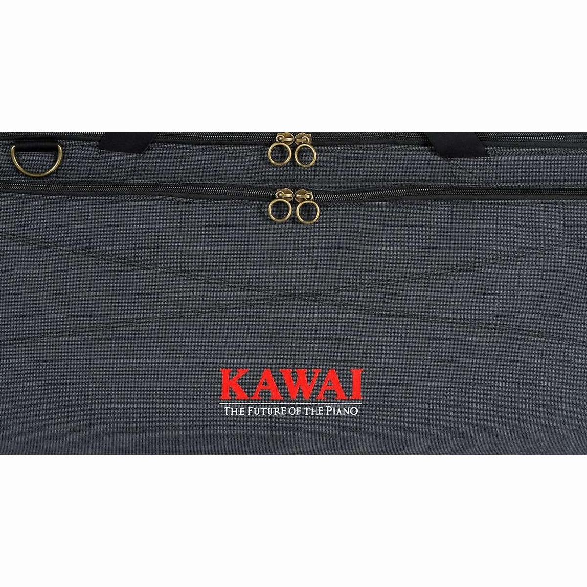 SC-1 Softcase für z.B: ES 920/520