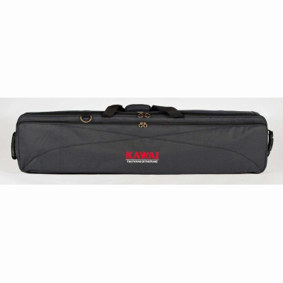 SC-2 Softcase füer z.B: ES 120