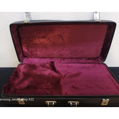 Altsaxophon Toneking SNr L7096 mit Koffer Altsaxophon Toneking SNr L7096 mit Koffer