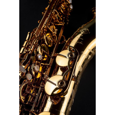 Tenor-Sax SIGNATURE, dunkler Goldlack Tenor-Sax SIGNATURE, dunkler Goldlack