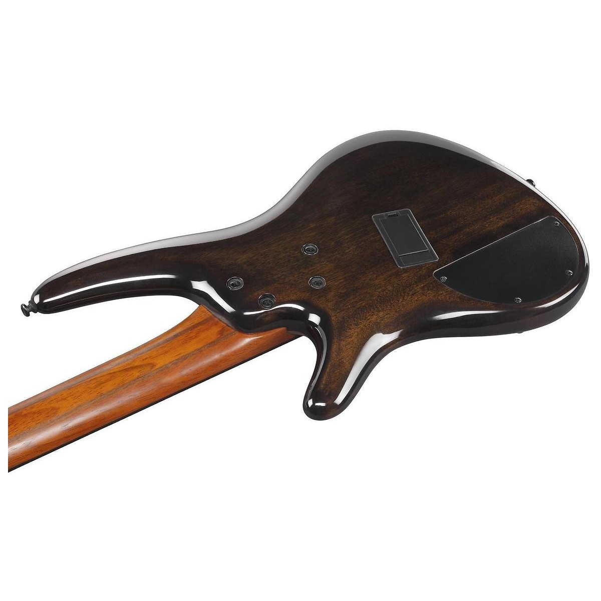 SRMS805-TSR E-Bass Multi Scale SRMS805-TSR E-Bass Multi Scale