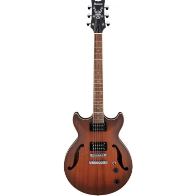 AM53-TF E-Gitarre Hollobody AM53-TF E-Gitarre Hollobody