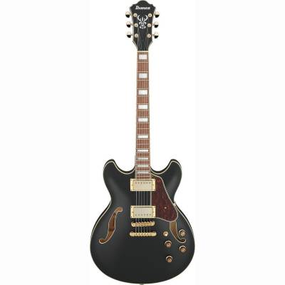 AS73G-BKF E-Gitarre Hollowbody AS73G-BKF E-Gitarre Hollowbody