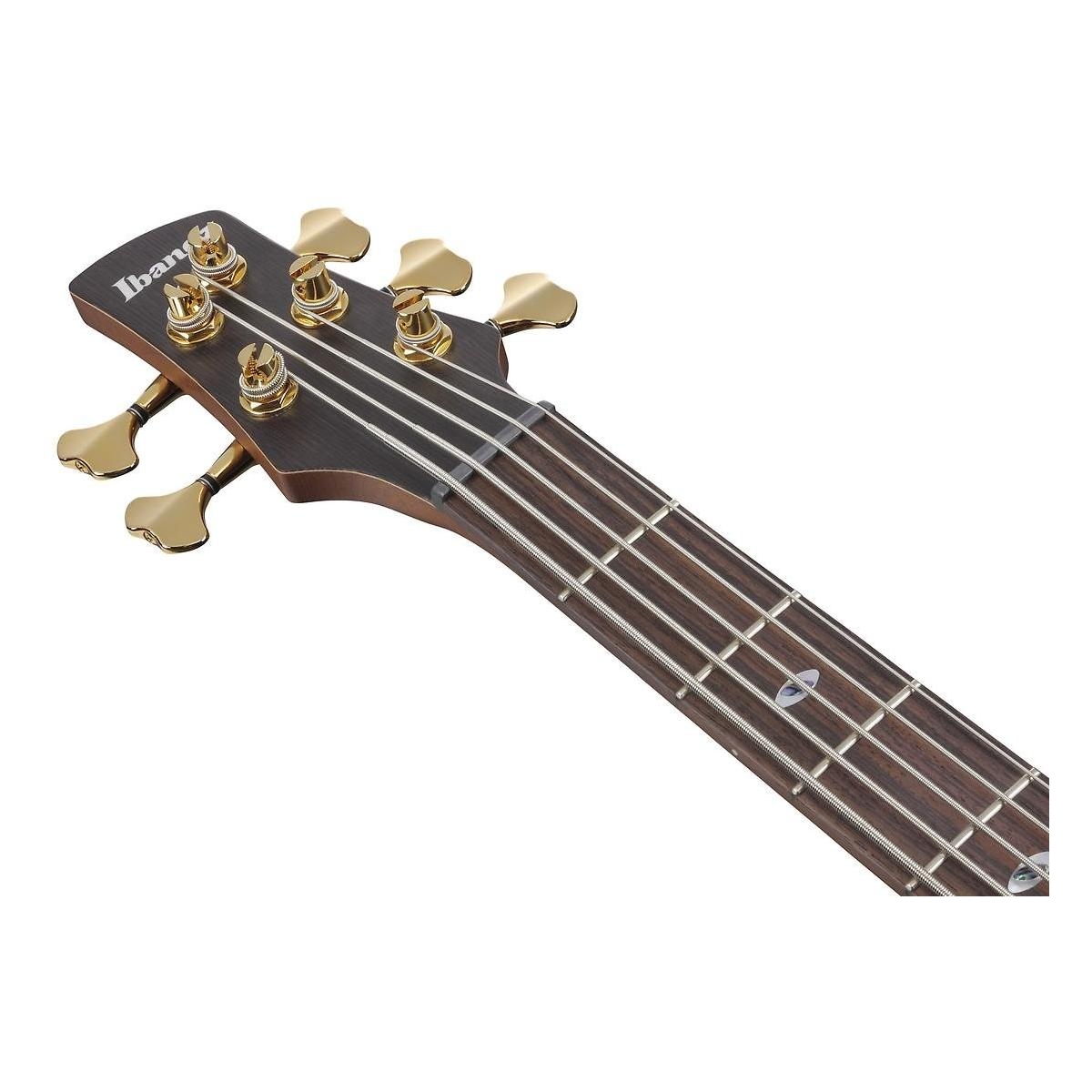 SR6605-GFB Prestige E-Bass SR6605-GFB Prestige E-Bass