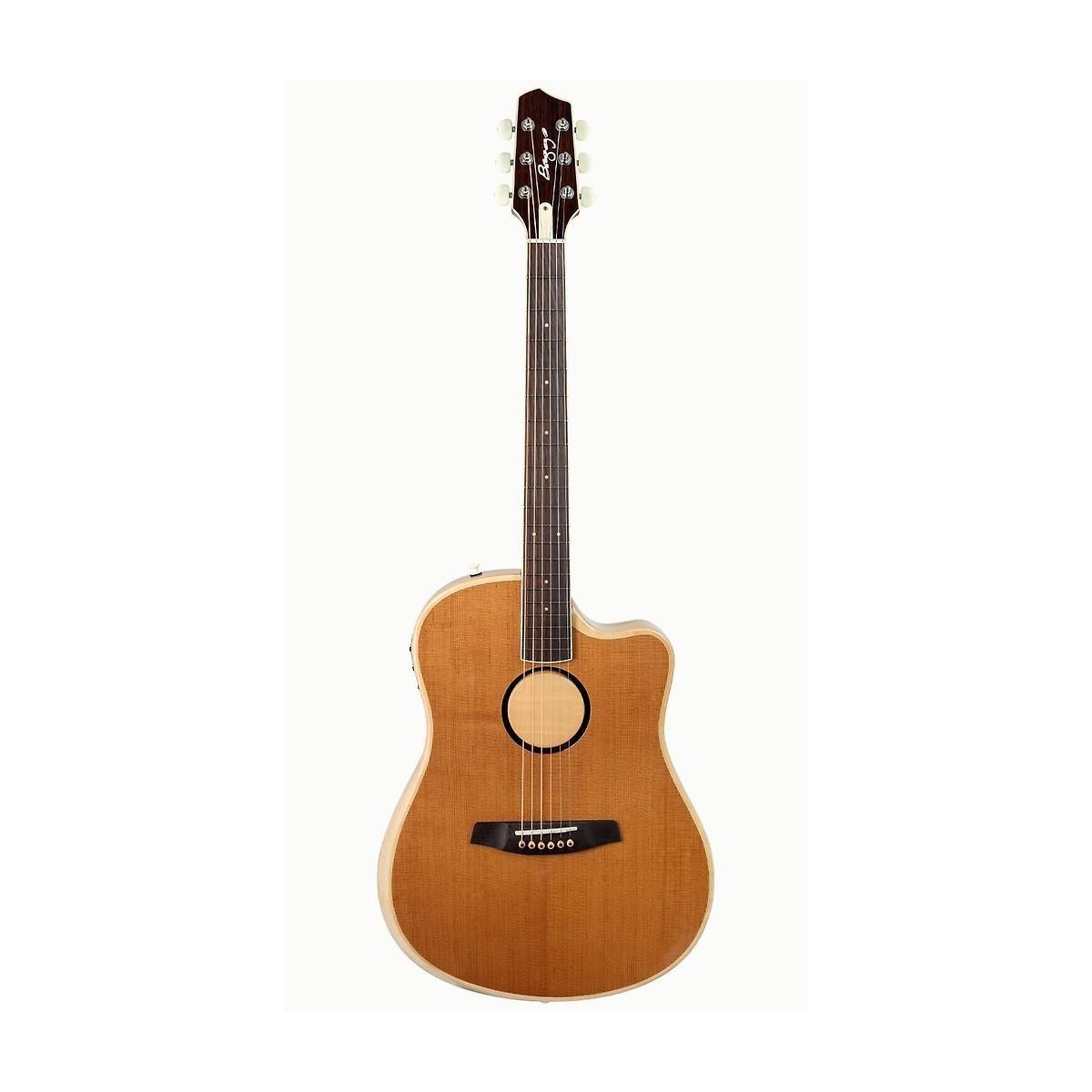 Baggs AEG1 Torrefied Westerngit. m.Case Baggs AEG1 Torrefied Westerngit. m.Case