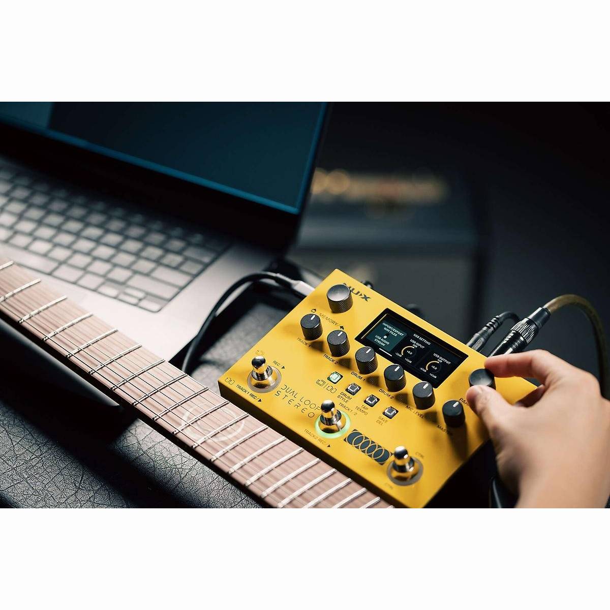 Dual Loop Stereo Looper Pedal Dual Loop Stereo Looper Pedal