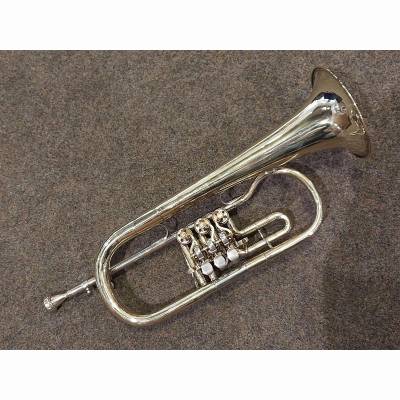 Flügelhorn ohne Gravur Flügelhorn ohne Gravur