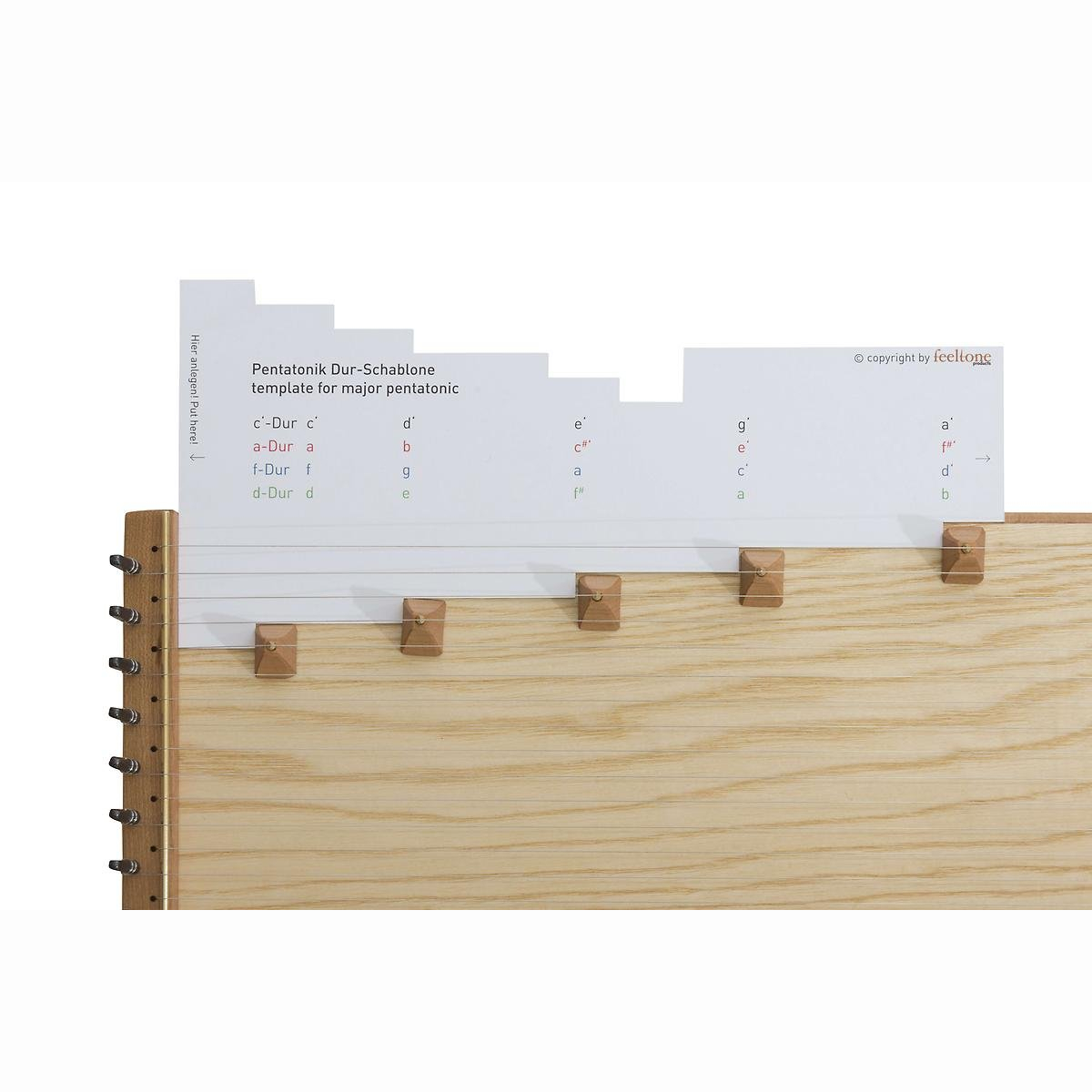 MO-34D-TS Monolina 34 Saiten TonD TS