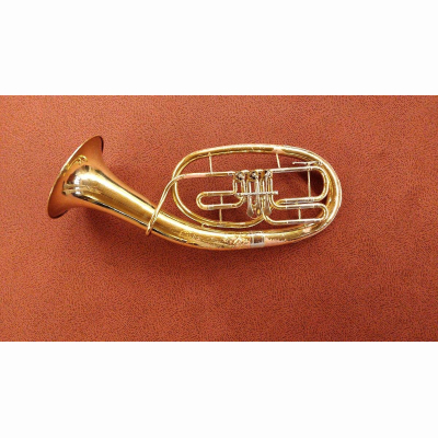 Tenorhorn R.Benson M Koffer