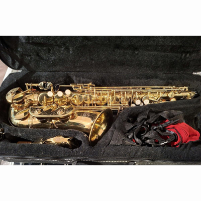 Sax./Alt Roy Benson kindgerecht m. Koffer Sax./Alt Roy Benson kindgerecht m. Koffer