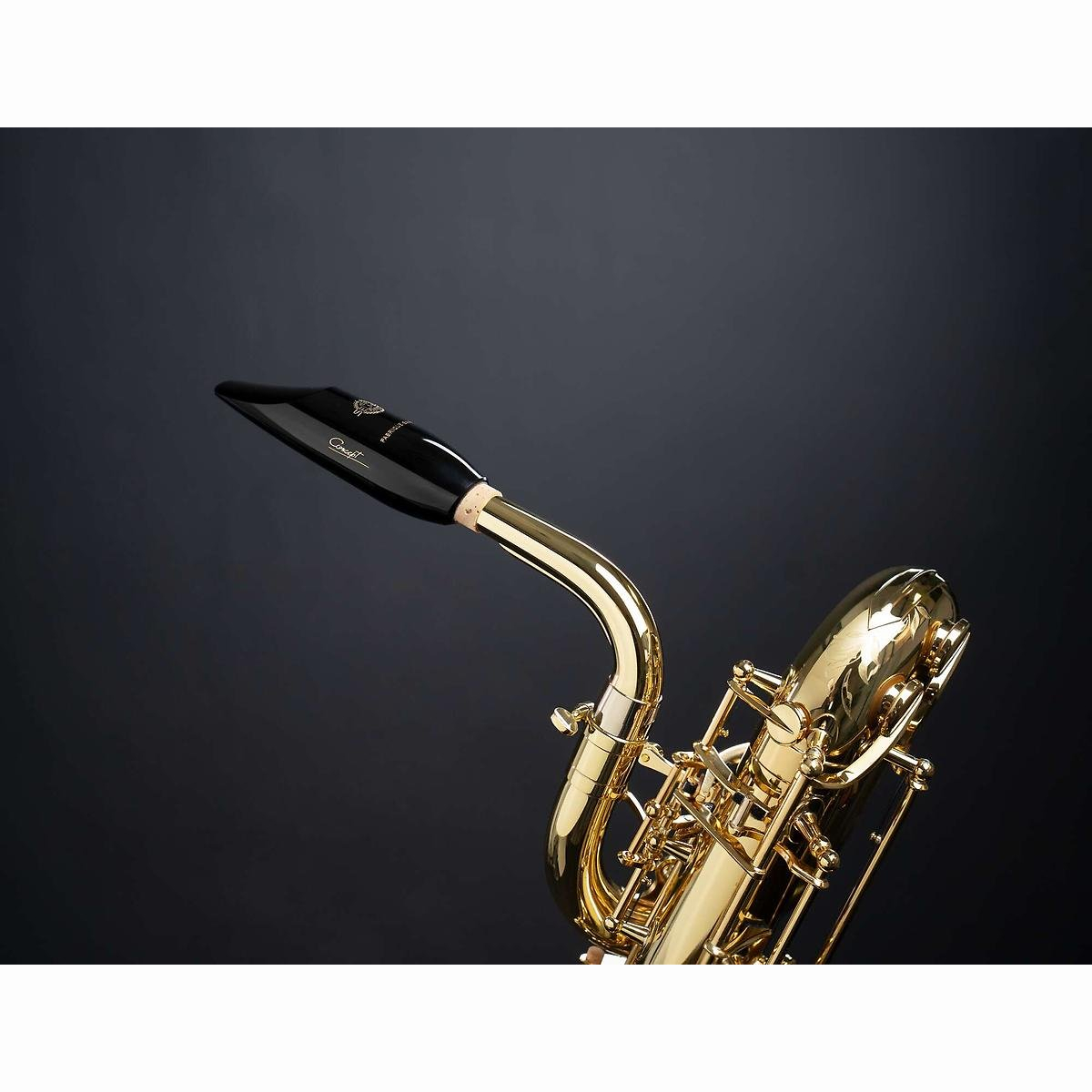 Mundstück Concept Bariton Sax Kautschuk
