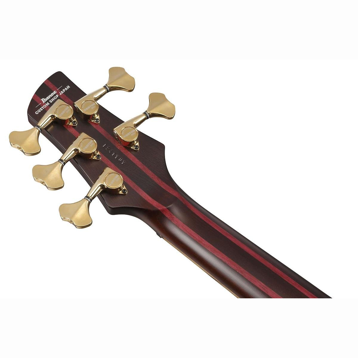 IV1SR Visions SR E-Bass 5 String IV1SR Visions SR E-Bass 5 String