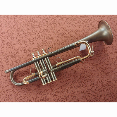 Trompete Klaus Martens ohne Etui