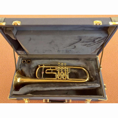 Trompete Konzert B&S GM mit Koffer