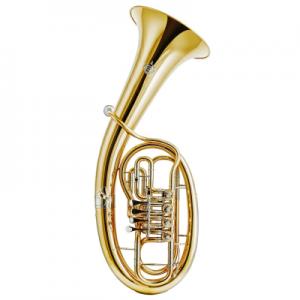 Tenorhorn|6100